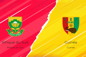 Afrique du Sud-Guinée_main