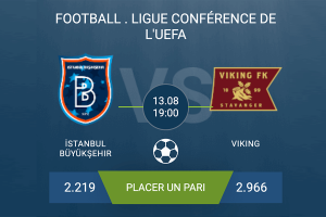 İstanbul Büyükşehir- Viking_main