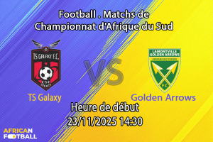 TS Galaxy - Golden Arrows _main