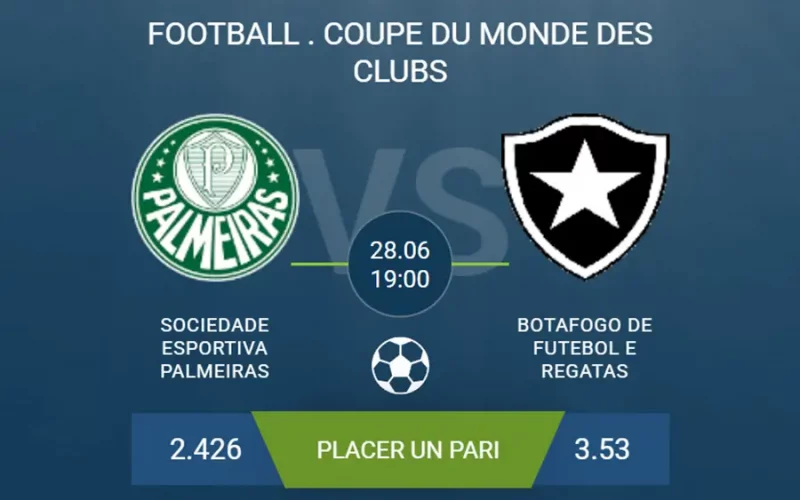 pronostic Sociedade Esportiva Palmeiras-Botafogo de Futebol e Regata