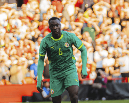 Habib blessé: Angleterre et éloigné avec Sunderland