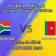 Pronostic Afrique du Sud – Cameroun
