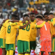 Brandon Petersen gardien Kaizer Chiefs 31 ans né Le Cap 15 clean sheets absent Bafana Mondial 2026